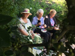 Mainau 06/2017