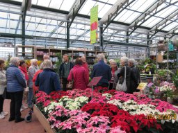 FloraParadies Schabenhausen 10/2019